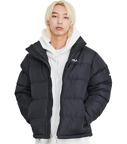 Amazon.co.jp: [ノースフェイス] メンズ パウダーフロージャケット